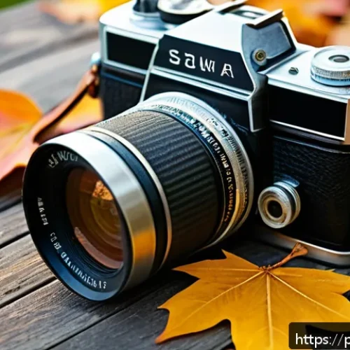 빈티지 카메라 종류와 특징 - A vintage medium format camera resting on a rustic wooden table outdoors, surrounded by soft natural...